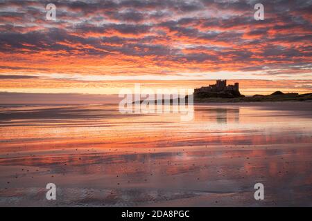 Ein lebhafter Sonnenaufgang spiegelt sich im nassen Sand am Bamburgh Beach wider, mit der silhouettierten Burg, die auf einem Felsvorsprung am Horizont thront. Stockfoto