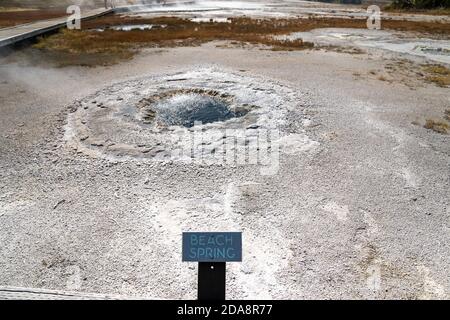 Beach Spring, eine Thermalquelle im Upper Geyser Basin im Yellowstone National Park Stockfoto