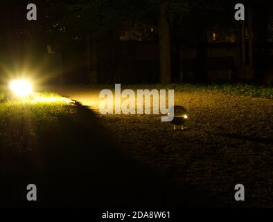 Kreative Langzeitfotografie bei Nacht in jena mit einem Lenssball Stockfoto