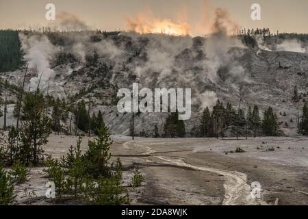 Dampf steigt aus den Fumarolen auf dem Roaring Mountain bei Sonnenaufgang im Yellowstone National Park, Wyoming. USA. Stockfoto