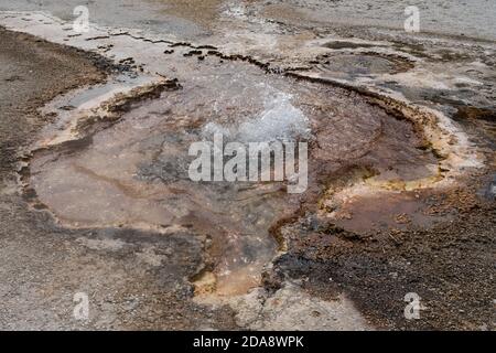 Cinnamon Spouter sprudelt im Black Sand Basin im Yellowstone National Park, USA. Stockfoto