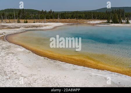 Bunte thermophile Bakterien leben im heißen Wasser des Sunset Lake im Black Sand Basin, Yellowstone National Park, Wyoming, USA. Stockfoto