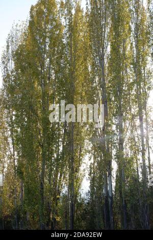 Herbstliche Ansicht Stockfoto