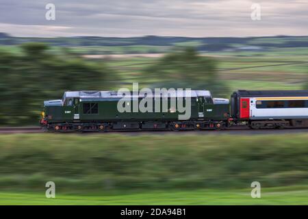 BR Green Baureihe 37 Lokomotive 37521 mit dem 'Staycation Express' Trainieren Sie mit Geschwindigkeit auf der Linie zur Carlisle-Bahn Stockfoto