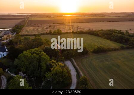 The Petrified Oak Forest of Mundon in Essex UK Stockfoto