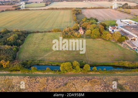 The Petrified Oak Forest of Mundon in Essex UK Stockfoto