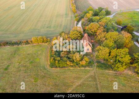 The Petrified Oak Forest of Mundon in Essex UK Stockfoto