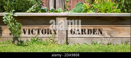 Victory Garden Zeichen auf erhöhten Gemüsebeet, sparen Sie Geld und bauen Sie Ihr eigenes Lebensmittelkonzept Stockfoto