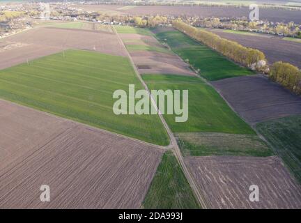 Kleine landwirtschaftliche Plantagen mit verschiedenen Kulturen und Anbaukulturen in Ländliche Gebiete Stockfoto