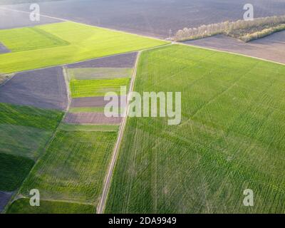 Kleine landwirtschaftliche Plantagen mit verschiedenen Kulturen und Anbaukulturen in Ländliche Gebiete Stockfoto