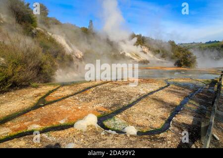 Orakei Korako, ein geothermisches Gebiet und Touristenattraktion in der Vulkanzone Taupo, Neuseeland. Die "Landkarte Afrikas" Formation Stockfoto