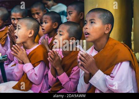 yangon myanmar Pagode Shwedagon junge Mönch und Nonnen lesen ein buddhistisches Mantra im tiefen Meditationszustand Stockfoto