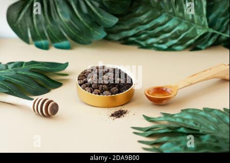 Kaffee-Peeling und Kaffeebohnen in goldenen runden Glas, kosmetisches Öl und Holz-Honig-Stick mit tropischen großen grünen Blättern, Hauskosmetik, kosmetische layo Stockfoto
