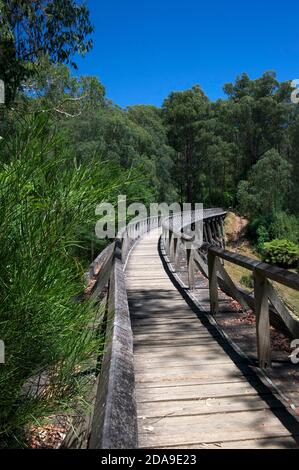 Diese alte Schotterbrücke diente früher als Eisenbahnstrecke zwischen Noojee und Warragul in Gippsland, Victoria, Australien. Es wurde für die Holzindustrie gebaut. Stockfoto