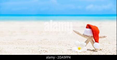 Weißer Seestern in rotem Weihnachtsmann Hut auf sandigen Strand Im Hintergrund Stockfoto