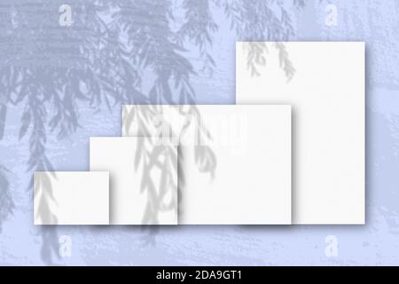 Mehrere horizontale und vertikale Blätter aus weißem strukturiertem Papier vor einem blauen Wandhintergrund. Mockup mit einer Überlagerung von Pflanzenschatten. Tageslicht Stockfoto
