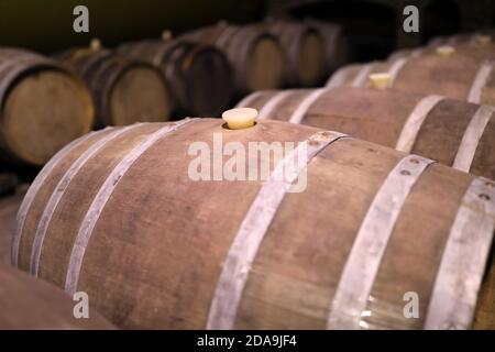 Blick auf Holzfässer bei Weingut, Georgia Stockfoto