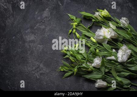 Eustoma Layout auf texturiertem schwarzen Tischhintergrund mit Platz zum Kopieren. Stockfoto