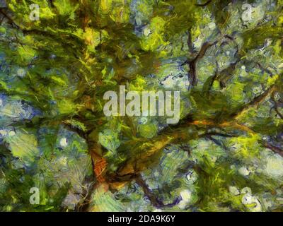 Die Zweige der Blätter auf den großen Bäumen, die durch Illustrationen leuchten, schaffen einen impressionistischen Malstil. Stockfoto