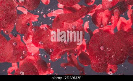 Rote Blutkörperchen und T-Zellen, die durch die Blutgefäße in 3d schweben Rendering Stockfoto