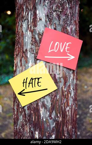 Liebe versus Hass Worte auf Papier auf einem Baum mit Pfeil Zeichen geschrieben. Dilemma oder Wahl zwischen zu lieben oder zu hassen. Stockfoto