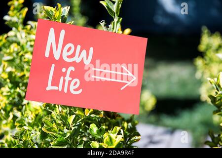 Das Wort neues Leben auf Papier in einem Garten mit grünen Pflanzen in der Natur geschrieben. Der Weg zu neuem Leben und neuen Anfängen Konzept. Stockfoto