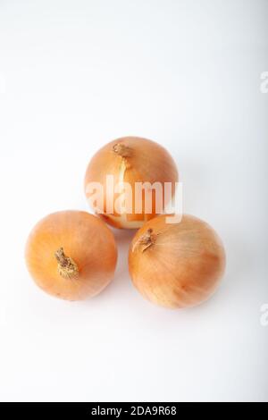 Drei weiße rohe Zwiebeln auf weißem Hintergrund. Stockfoto