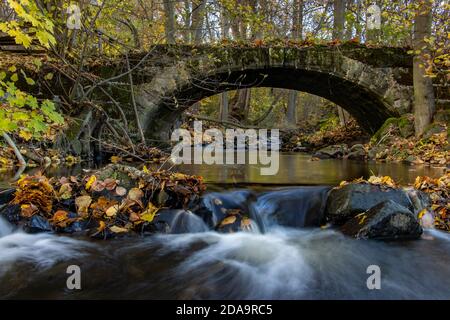 Eine Wasserfallkaskade im Bach, die unter einer alten Steinbrücke im Herbstwald fließt. Stockfoto