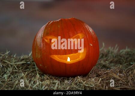 Auswahl an Kürbissen, die bei einem Halloween-Event in Chihcester, West Sussex, UK, abgebildet sind. Stockfoto