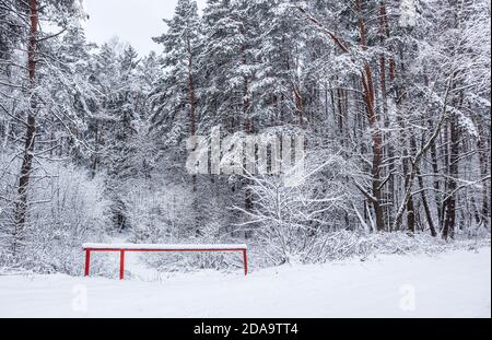 Schönen Winter Forest mit schneebedeckten Bäumen. А Menge dünnen Zweigen bedeckt mit weißen Schnee Stockfoto