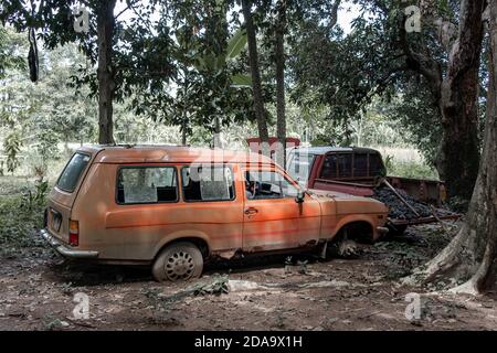 Wracks von alten Autos unter den Bäumen im Wald. Stockfoto