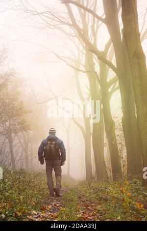 Rückansicht eines isolierten Mannes mit Rucksack, der im Herbstmist am frühen Morgen im Wald in Großbritannien unterwegs ist - wie ein Traum, der zum Licht geht. Stockfoto