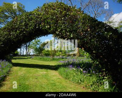 Ein Bogen in den Gärten von Ethy bei Lerryn, Cornwall. Stockfoto