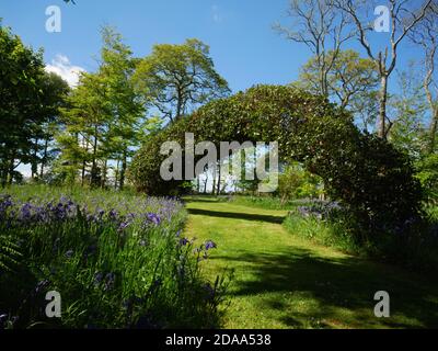 Ein Bogen in den Gärten von Ethy bei Lerryn, Cornwall. Stockfoto