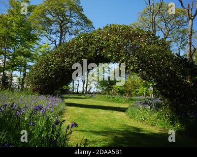 Ein Bogen in den Gärten von Ethy bei Lerryn, Cornwall. Stockfoto