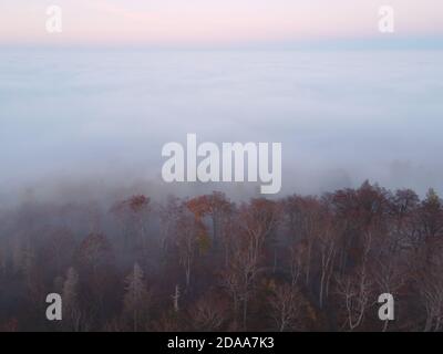 Luftaufnahme eines Herbstwaldes im Nebel mit einem Meer von Wolken im Hintergrund. Weicher Fokus, wie ein Gemälde. Stockfoto