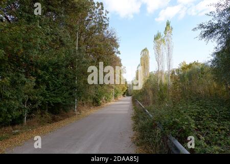 Straße in Bäumen im Herbst Stockfoto