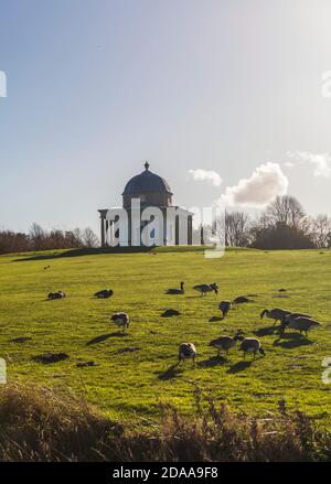 Der Tempel der Minerva in Hardwick Park,Sedgefield,Co.Durham Stockfoto