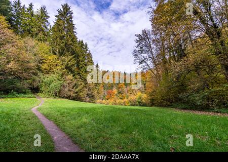 Fantastische Herbstwanderung entlang des Aachtobel zur Hohenbodman Beobachtung Turm in der Nähe des Bodensees Stockfoto