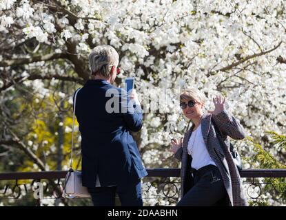 KIEW, UKRAINE - 18. Apr 2018: Die Menschen erfreuen sich an Magnolienblüten. Menschen fotografieren und machen Selfies in blühenden Magnoliengarten. Blühende Magnolie Stockfoto