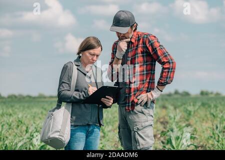 Hypothekendarlehen Officer Unterstützung Landwirt in finanzielle Zulage Antragsverfahren, Bankier und Landarbeiter in Mais Maisernte Feld. Stockfoto