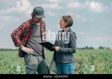 Hypothekendarlehen Officer Unterstützung Landwirt in finanzielle Zulage Antragsverfahren, Bankier und Landarbeiter in Mais Maisernte Feld. Stockfoto