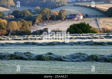 Gras auf Heulage in einem Feld in der Nähe von Tisbury in Wiltshire geschnitten. Stockfoto