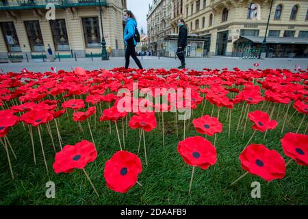 Prag, Tschechische Republik. November 2020. Ein Mohn-Feld markiert die Feier des Kriegsveteranen-Tages in Prag, Tschechische Republik, 11. November 2020. Kredit: Katerina Sulova/CTK Foto/Alamy Live Nachrichten Stockfoto