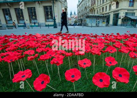 Prag, Tschechische Republik. November 2020. Ein Mohn-Feld markiert die Feier des Kriegsveteranen-Tages in Prag, Tschechische Republik, 11. November 2020. Kredit: Katerina Sulova/CTK Foto/Alamy Live Nachrichten Stockfoto