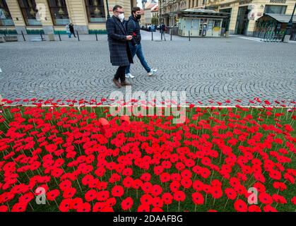 Prag, Tschechische Republik. November 2020. Ein Mohn-Feld markiert die Feier des Kriegsveteranen-Tages in Prag, Tschechische Republik, 11. November 2020. Kredit: Katerina Sulova/CTK Foto/Alamy Live Nachrichten Stockfoto