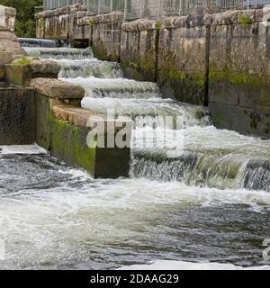 Fischleiter am Lopwell Dam, einem Wehr am Fluss Tavy, Devon, England, Großbritannien. Stockfoto