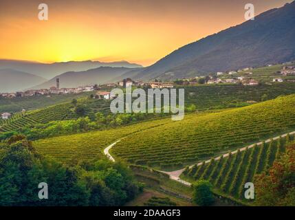 Prosecco Hills, Weinberge und San Pietro di Barbozza Dorf bei Sonnenuntergang. Unesco-Weltkulturerbe. Valdobbiadene, Treviso, Venetien, Italien, Europa. Stockfoto