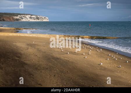 Sandown Strand außerhalb der Saison und Blick auf Culver Cliff, Insel Wight Stockfoto