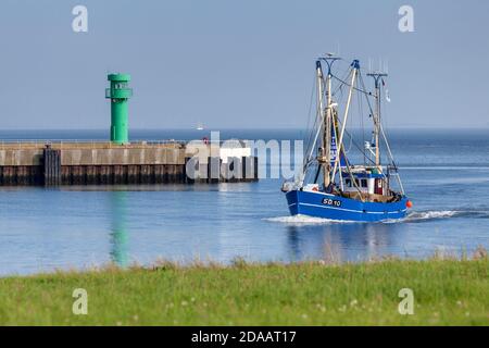 Geographie / Reisen, Deutschland, Schleswig-Holstein, Büsum, Garnelen an der Hafeneinfahrt, Büsum, Dithma, Additional-Rights-Clearance-Info-not-available Stockfoto